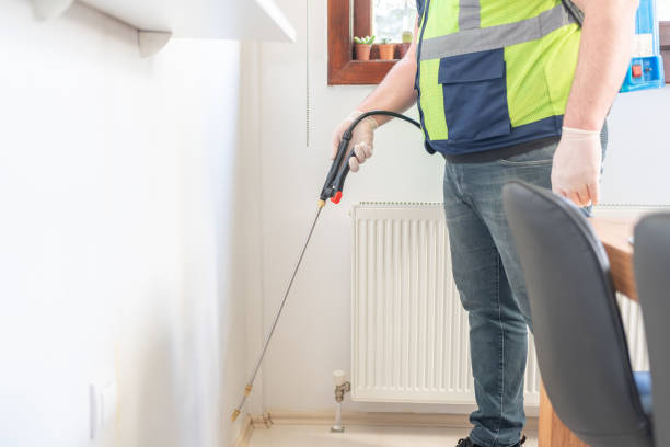 Best Residential Pest Control  in Big Stone Gap, VA