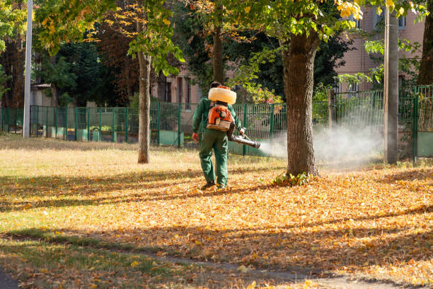 Big Stone Gap, VA Pest Control Company